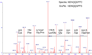 MSMS
spectra of glu-fib, annotated, run on Waters Q-Tof Micro 042608